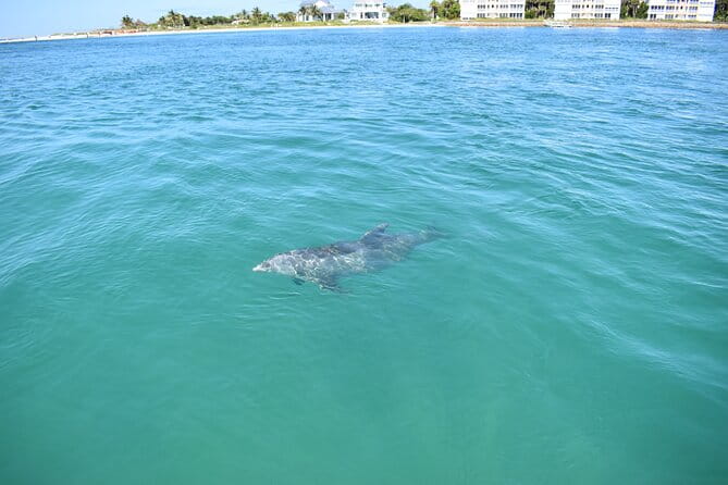 Dolphin Tiki Cruise around Fort Myers Beach - FAQ