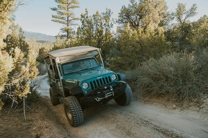 East Zion Top of the World Jeep Tour - Authentic Traveler Perspectives