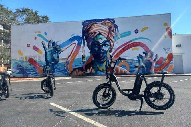 Electric Bike Guided City & Mural Tour - Final Thoughts: Who Will Appreciate This Tour?