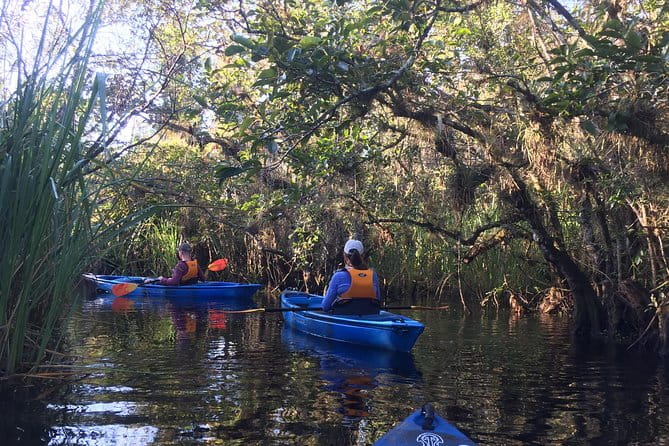 Everglades Kayak Safari Adventure Through Mangrove Tunnels - Practical Tips for a Smooth Experience