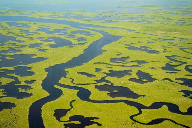 Everglades National Park Boat Tour - Accessibility and Comfort
