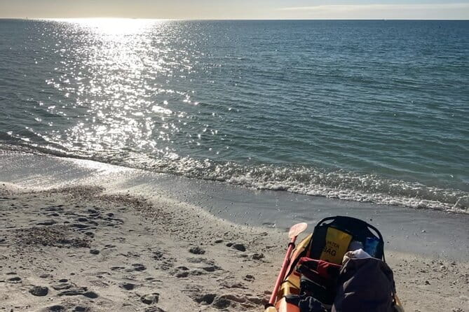 Exclusive Kayak Expedition: Exploring the Mangroves to Shell Key - The Pacing and Comfort