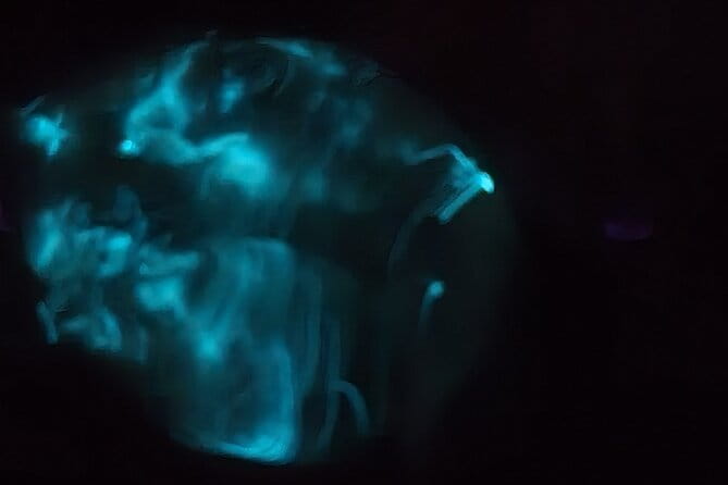 Florida Bioluminescence Kayaking Tour (Titusville) - Visibility and Timing: When to Go