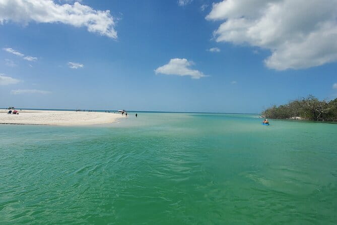 Fort Myers Beach Dolphin & Sightseeing Tour Refreshments Included - FAQ