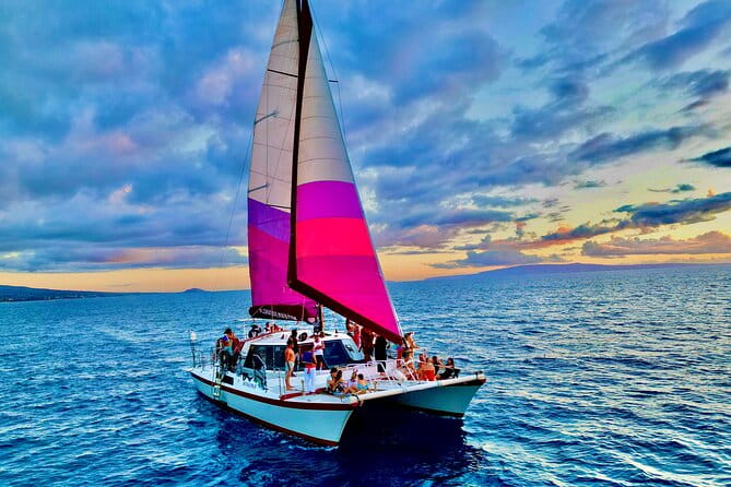 From Maalaea Harbor: Whale Watching Tours Aboard Winona Catamaran - Who Should Consider This Tour?