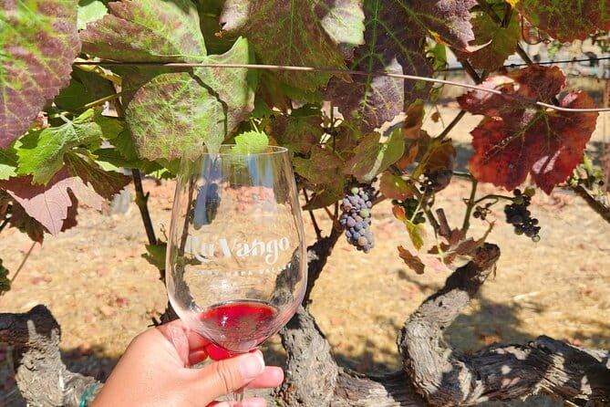 From SF: Napa and Sonoma Valley Wine Experience with 3 Wineries - Why This Tour Works Well