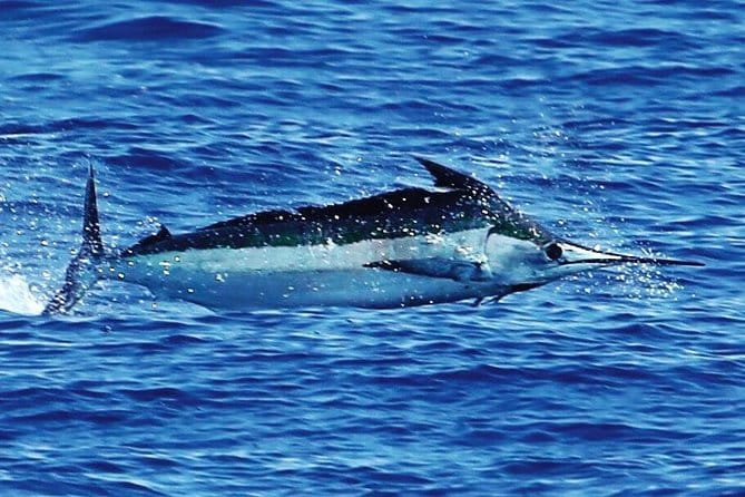 Full Day Sportsman/Enthusiast Charter - FAQ
