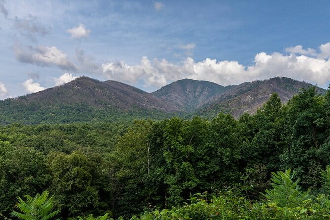 Great Smoky Mountains & Cades Cove Self-Guided Driving Tours - FAQs