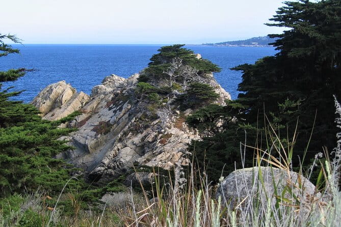 Guided 2-Hour Point Lobos Nature Walk - Authentic Experiences and Feedback from Participants