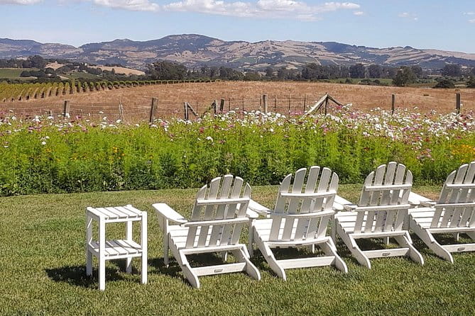 Guided Healdsburg Wine Country Bike and Wine Tasting Tour with lunch - Practical Details and Considerations