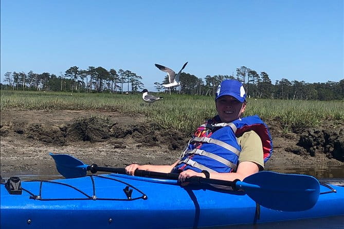 Guided Kayak Tour to see ponies, birds, dolphins and more - Who Would Enjoy This Tour?