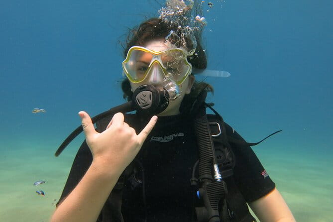 Guided Scuba Dive in Lahaina: Certified - Authentic Experiences and Real Reviews