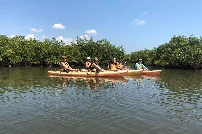 Guided Wildlife Eco Kayak Tour in New Smyrna Beach - FAQs