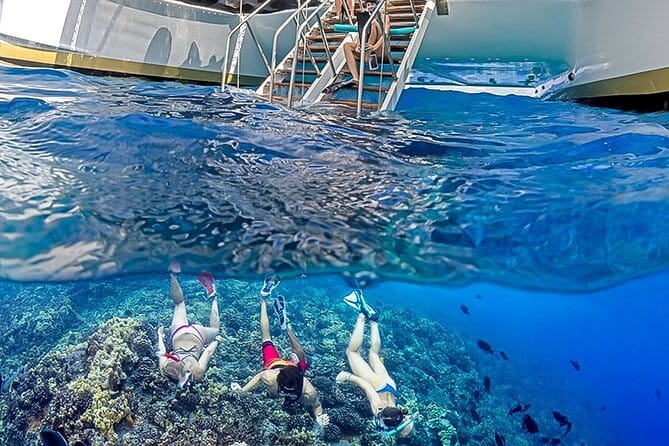 Half-Day Deluxe Molokini Snorkel Excursion in Maui - Practical Details and What You Should Know