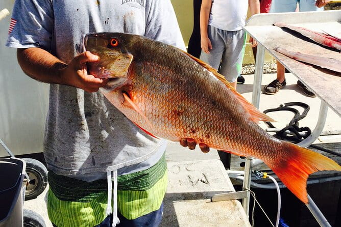 Half-Day Fishing Trip in Fort Lauderdale - Practical Tips for Your Fishing Trip