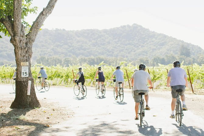 Half-Day Napa Valley E-Bike Tour - The Value and Price Considerations
