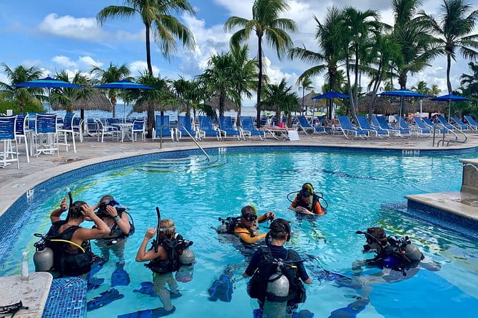 Half Day Scuba Diving Trip in the Florida Keys - Who Should Consider This Tour?