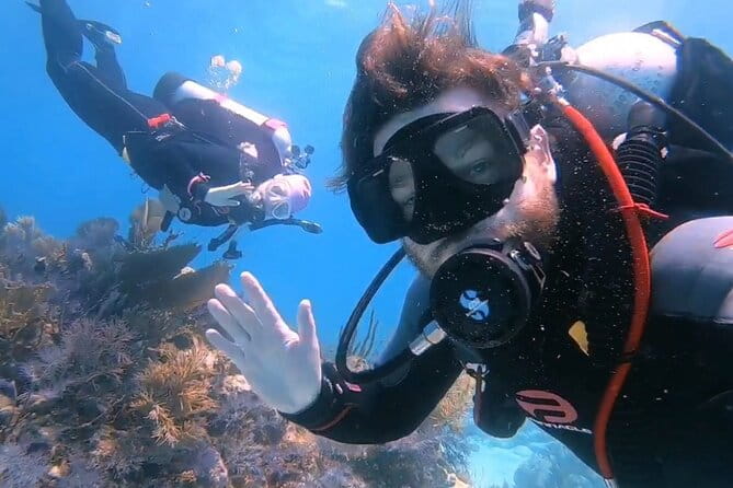 Half-Day Small-Group 2-Tank Scuba Dive in Key Largo (CERTIFIED DIVERS ONLY) - Who Will Love This Tour?