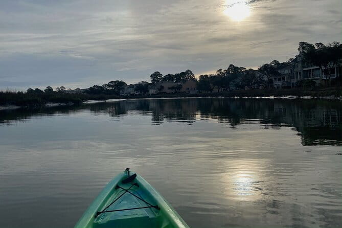 Hilton Head Guided Kayak Eco Tour - What You Can Expect to See and Do