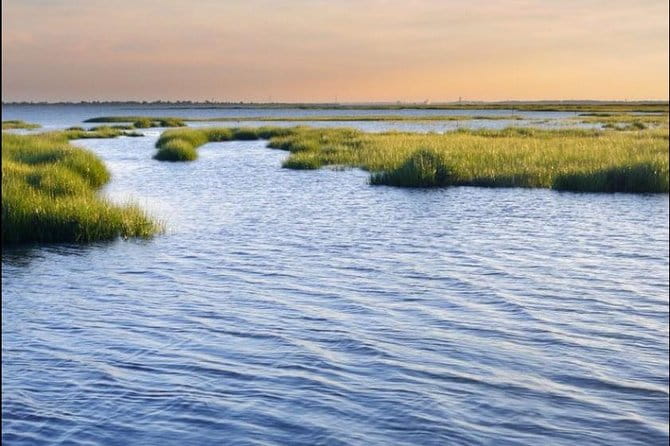 Hilton Head Island Dolphin Watching Nature Cruise - Final Thoughts: Is It Worth It?