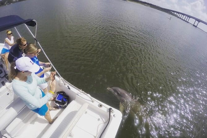 Hilton Head Island Sunset Dolphin Tour - Authentic Experiences and Genuine Feedback