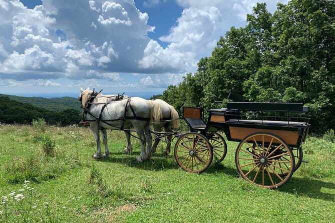 Horse and Carriage Ride through Moses H. Cone Park - The Sum Up