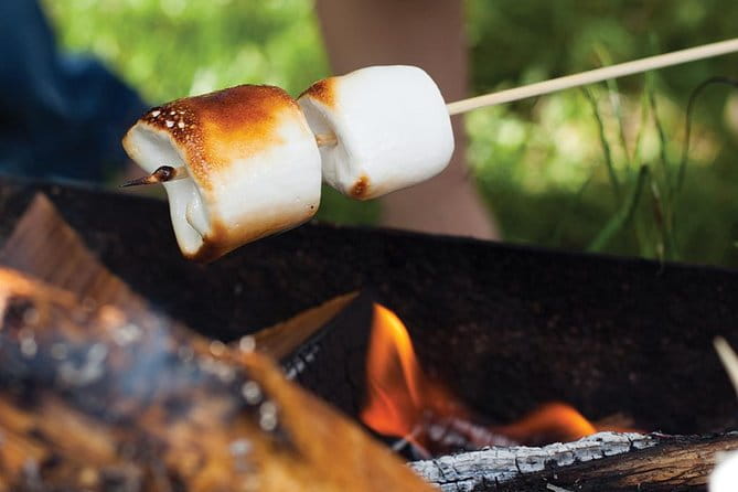 Juneau Gold Creek Salmon Bake - Practical Tips for Travelers