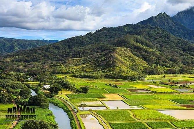 Kauai: Hawaii Movie Tour - Authentic Reviews: What Travelers Are Saying