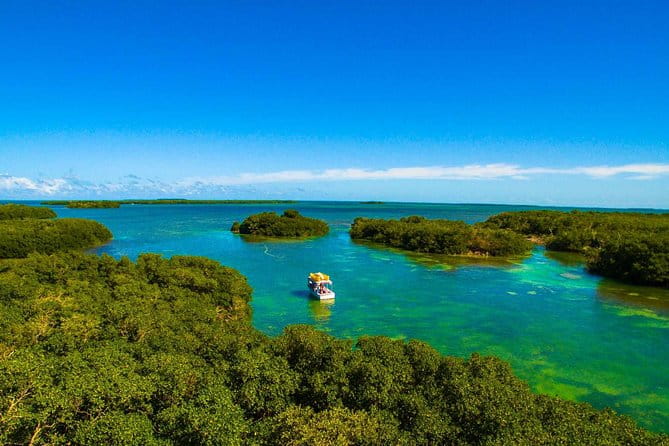 Kayak + Guided Snorkel & Morning Sail hosted by Honest Eco - Who Will Love This Trip?