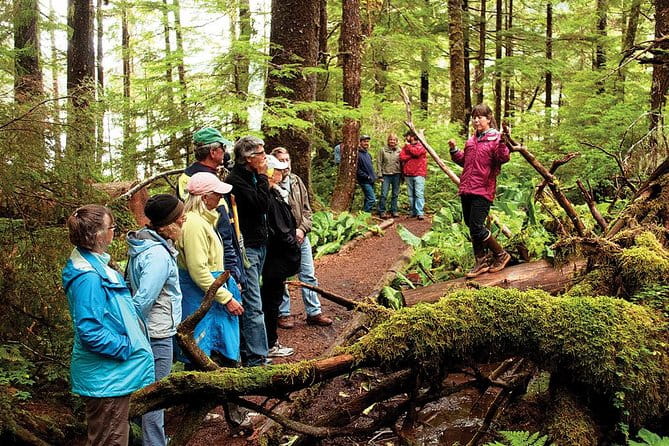 Ketchikan Rainforest Canoe and Nature Walk - Value for Money