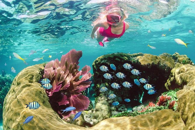 Key Largo Snorkeling Tour - rental mask, fins and vest INCLUDED - Who Is This Tour Best For?