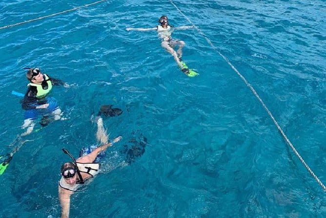 Key West Afternoon Snorkel Sail with Unlimited Cocktails! - The Sum Up