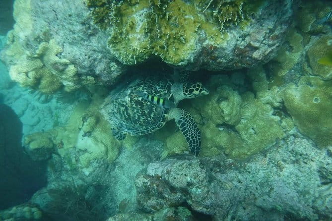 Key West Sunset Snorkel with Unlimited Draft Beer & Wine - Final Thoughts
