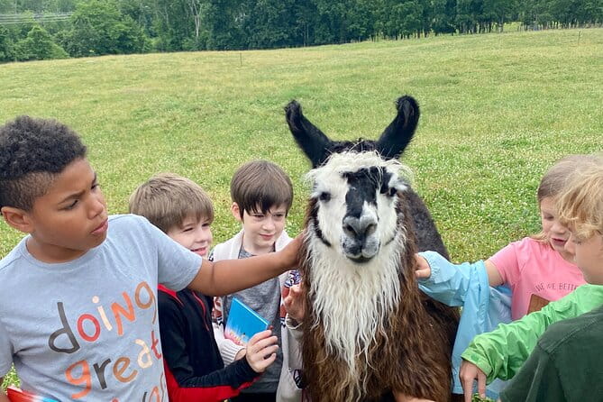 Llama/Alpaca Hike and Farm Tour - Practical Details and Considerations