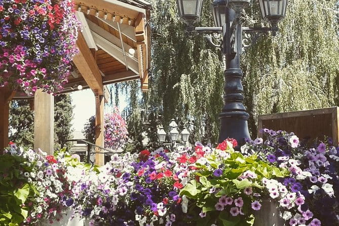 Luxury Leavenworth Day Trip through the Cascade Mountains - Who Is This Tour Best For?
