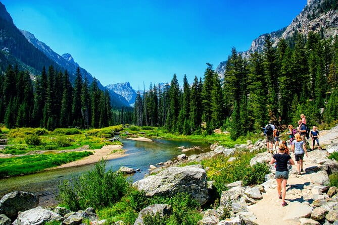 Luxury Private Half-Day Grand Teton National Park Tour - Who Should Consider This Tour?