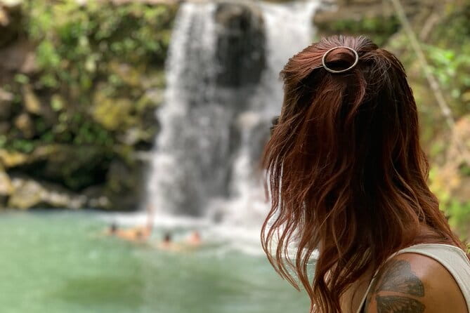 Maui Magical Waterfall and Jungle Tour: Road to Hana - Price and Value
