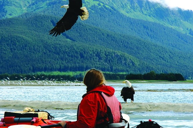 Mendenhall Glacier View Sea Kayaking - The Experience: Authentic and Engaging
