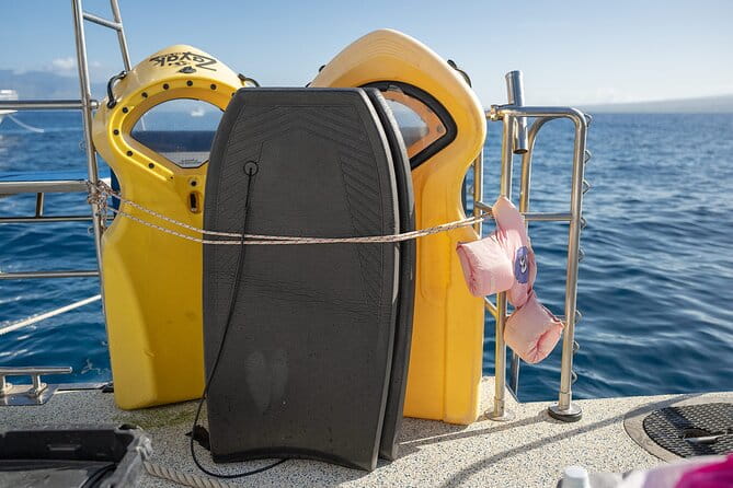 Molokini and Turtle Town Snorkeling Adventure Aboard the Malolo - Timing, Price, and Value