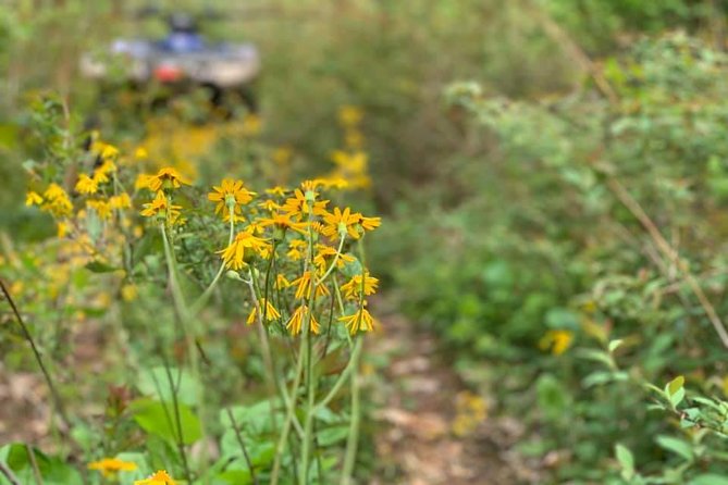 New River Gorge ATV Adventure Tour - The Bottom Line