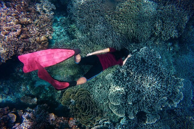 Night-Time Snorkel at TurtleTown with Stars, Lights, and Photos - Pricing and Value Analysis