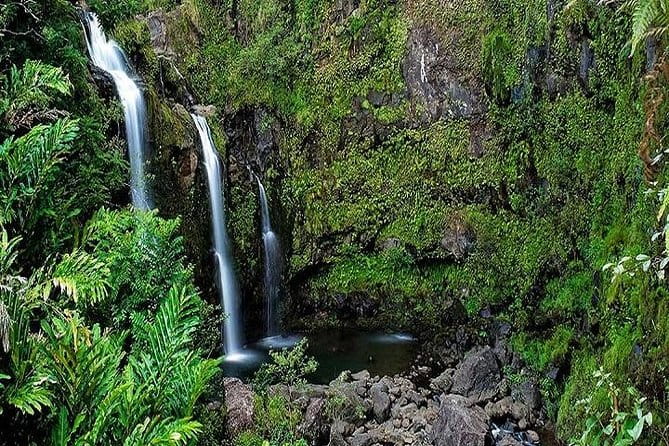 Oahu Grand Circle Island Experience Departing from Kauai - What’s the Value?