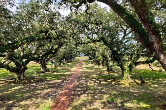 Oak Alley and Laura Plantation Tour with Transportation from New Orleans - What’s Included and What You Should Know