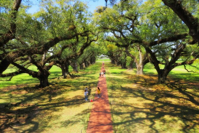 Oak Alley Plantation Tour with Transportation from New Orleans - Who Should Consider This Tour?