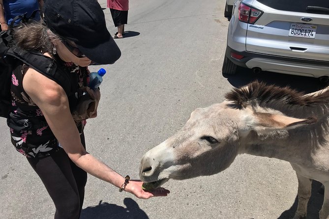 Oatman Mining Camp, Burros, Museums/Scenic RT66 Tour Small Grp - FAQ