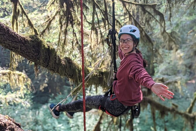Old-Growth Tree Climbing at Silver Falls State Park - Who Should Consider This Experience?