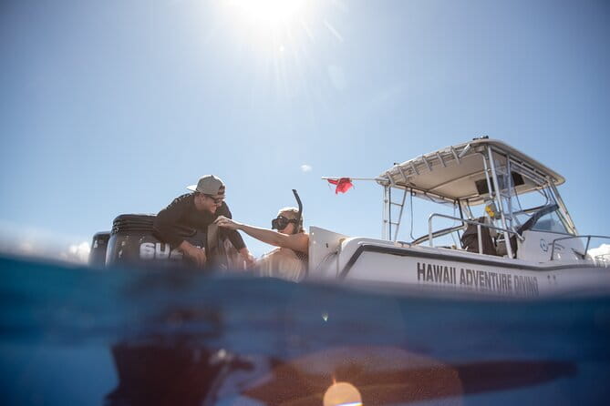 Open Water Shark Dive - The Sum Up