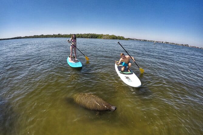 Paddle Boarding Eco Adventure Tour Jupiter Florida - Singer Island - FAQ