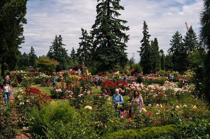 Portland Afternoon City Tour - Final Thoughts