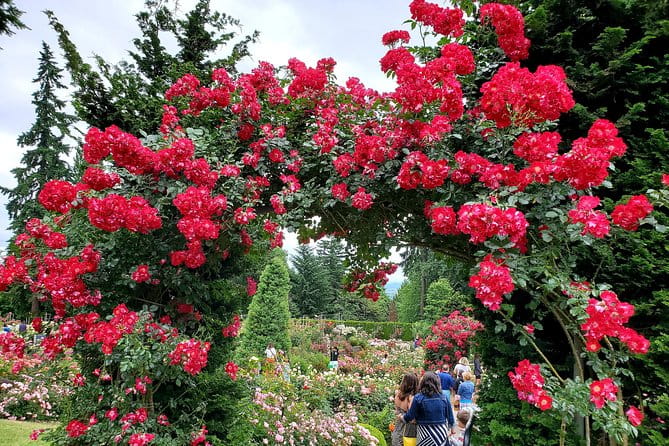 Portland, Oregon City Tour! - Final Thoughts